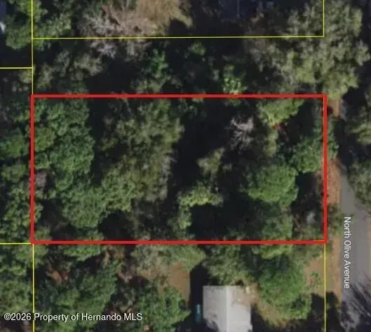 3408 N Olive Avenue, Crystal River, FL, 34428