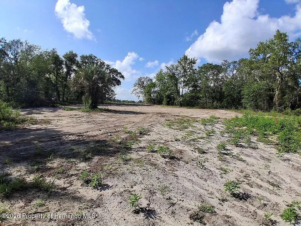 15750 Larry Road, Spring Hill(pasco), FL, 34610