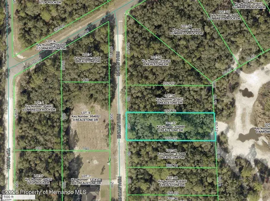 9088 Realstone Drive, Webster, FL, 33597