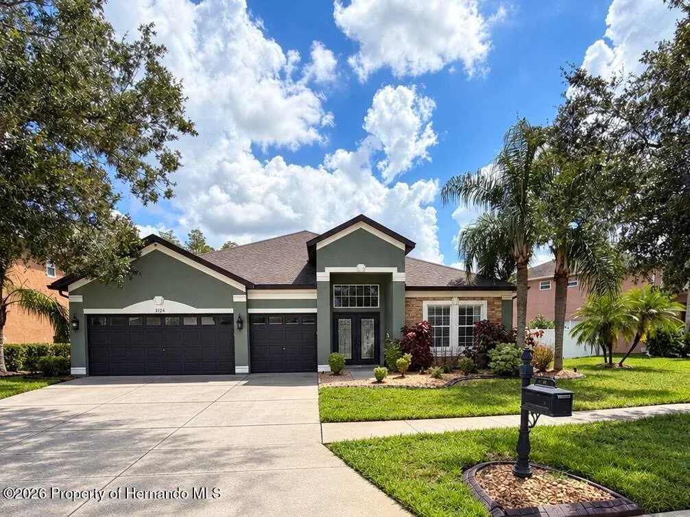 3124 Chessington Drive, Land O'lakes, FL, 34638