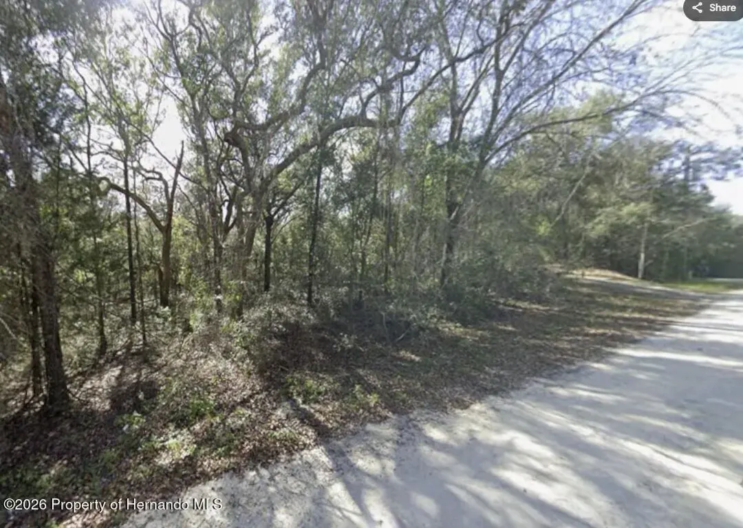 34086 Arrowrock Street, Webster, FL, 33597