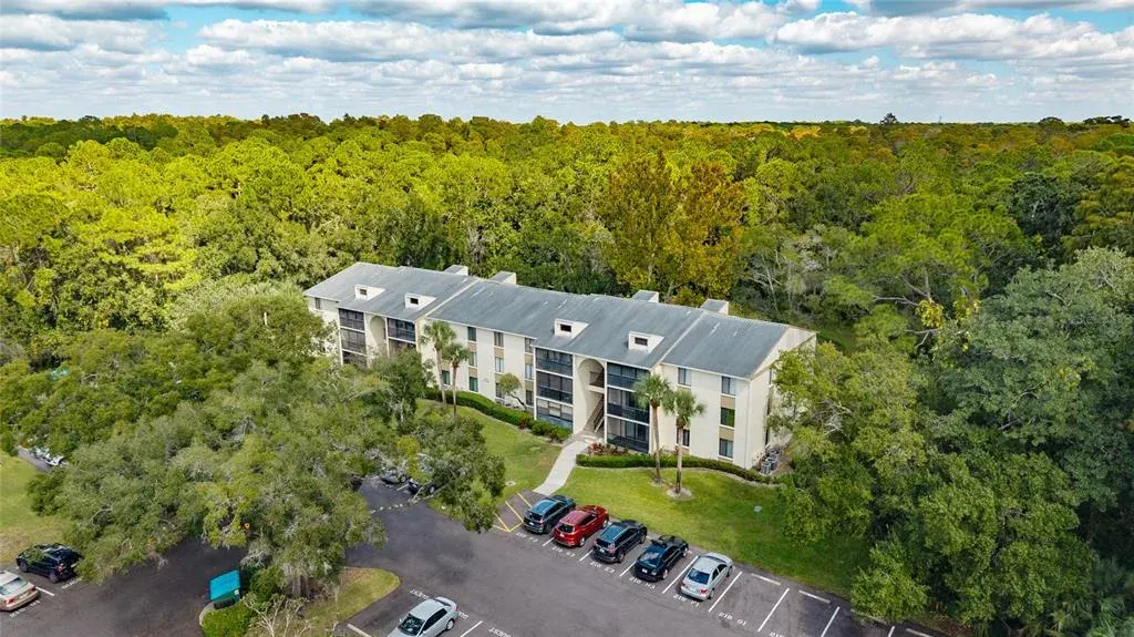 3232 Lake Pine Way E, Unit F2, Tarpon Springs, FL, 34688