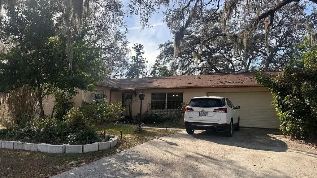 7012 Doreen Street, Tampa, FL, 33617