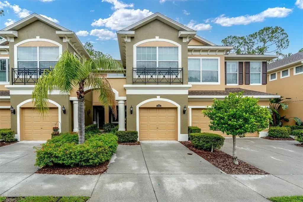 12660 Silverdale Street, Tampa, FL, 33626