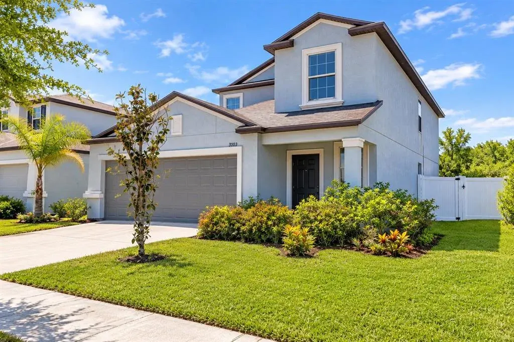 3703 Globe Thistle Drive, Tampa, FL, 33619
