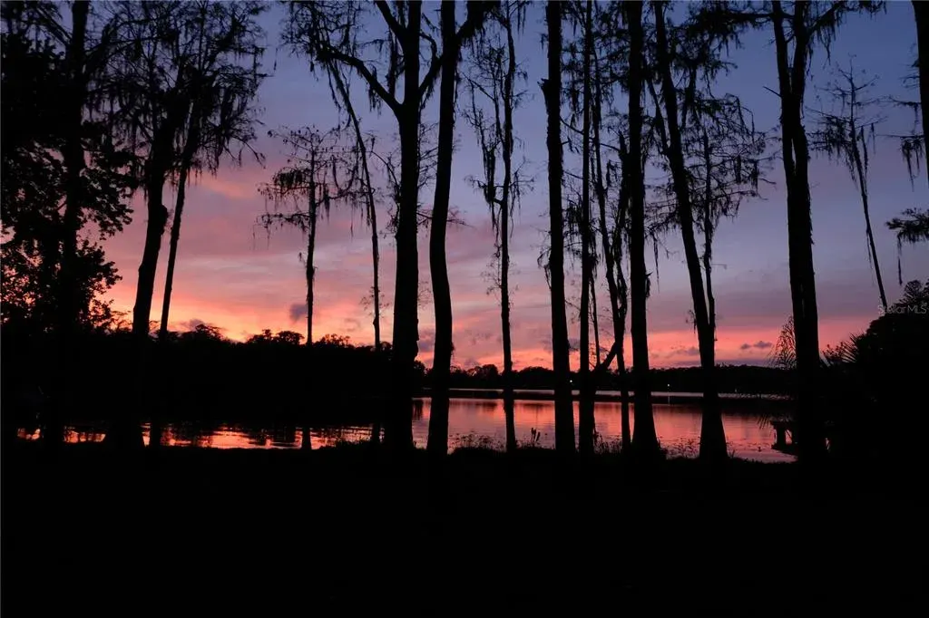 16308 Rock Lake Drive, Odessa, FL, 33556