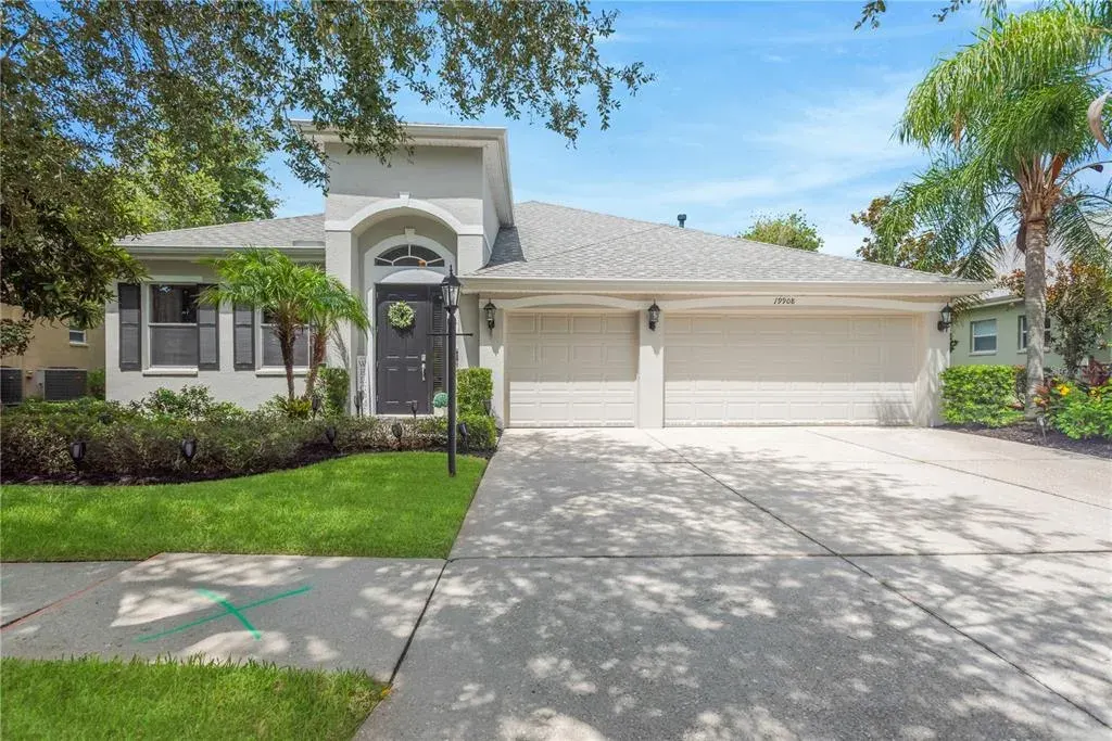 19908 Bluff Oak Boulevard, Tampa, FL, 33647