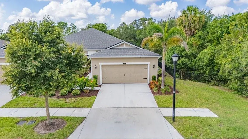 11505 Cambium Crown Drive, Riverview, FL, 33569