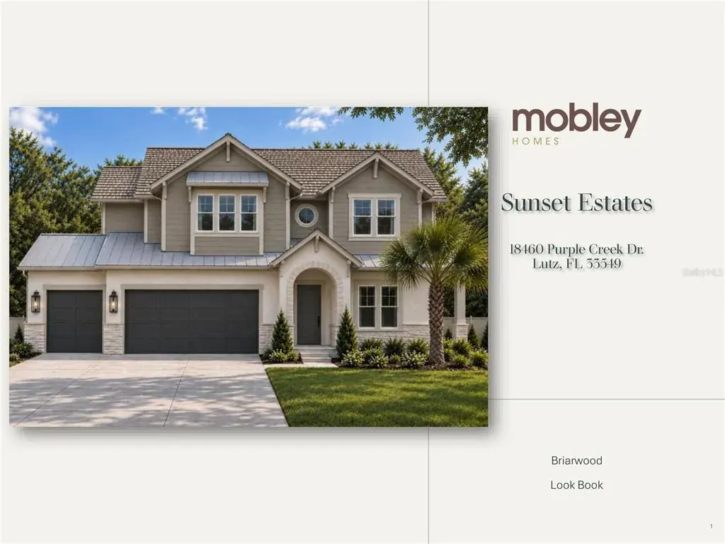 18460 Purple Creek Lane, Lutz, FL, 33549