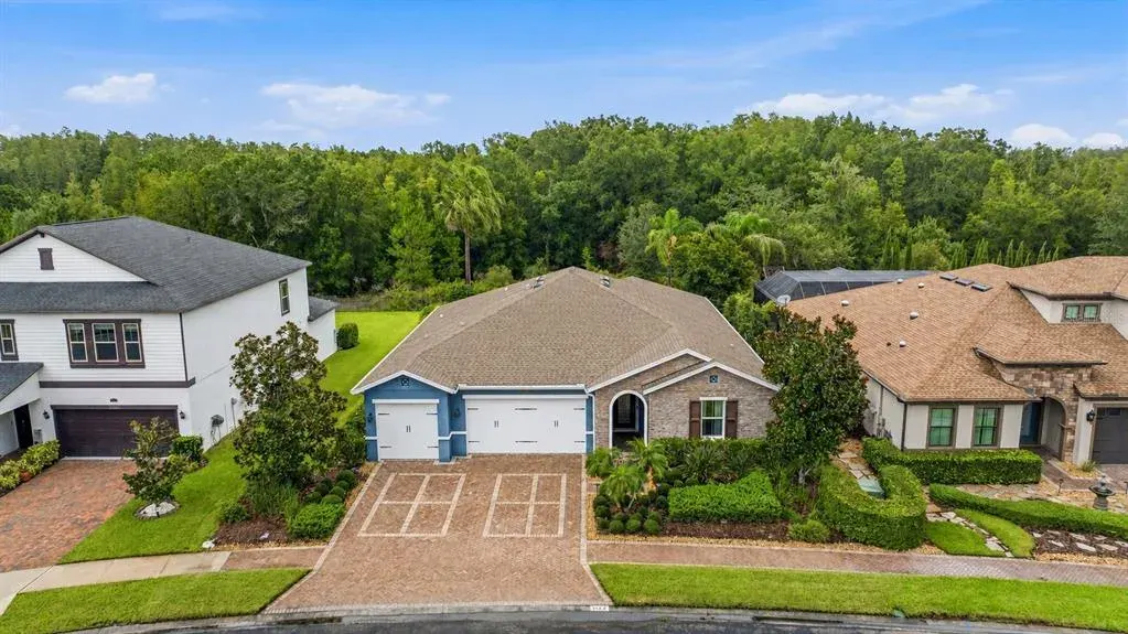 31321 Driscoll Drive, Wesley Chapel, FL, 33543