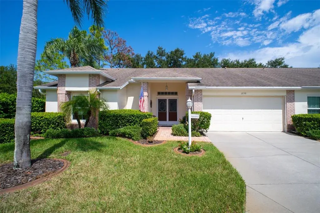 1236 Flora Vista Street, Trinity, FL, 34655