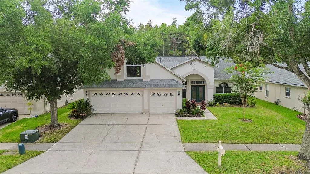 10217 Timberland Point Drive, Tampa, FL, 33647
