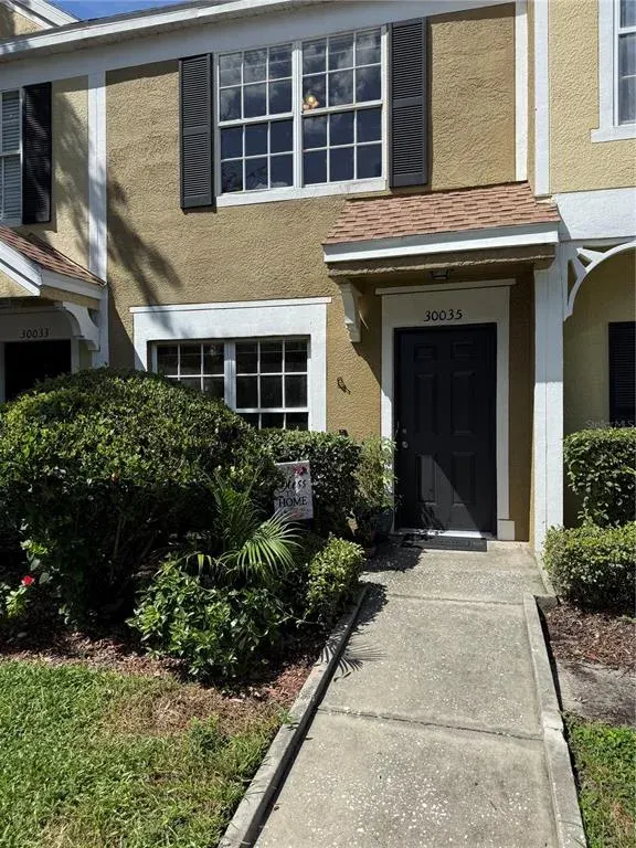 30035 Granda Hills Court, Wesley Chapel, FL, 33543
