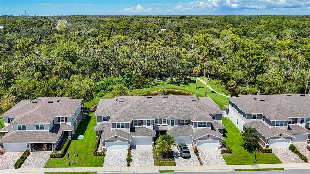 5364 Riverwalk Preserve Drive, New Port Richey, FL, 34653