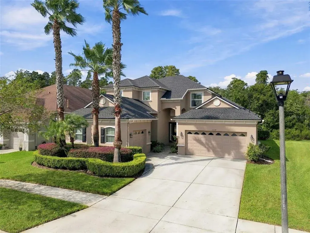 3339 Diamond Falls Circle, Land O Lakes, FL, 34638