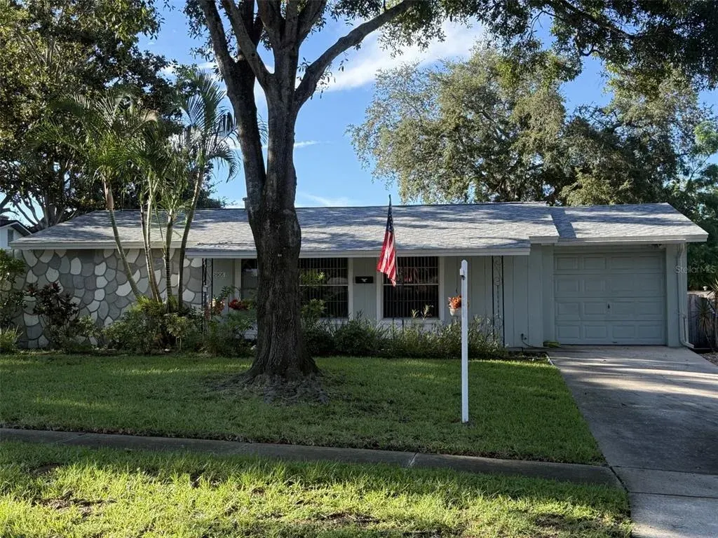 2905 Lemonwood Street, Clearwater, FL, 33759