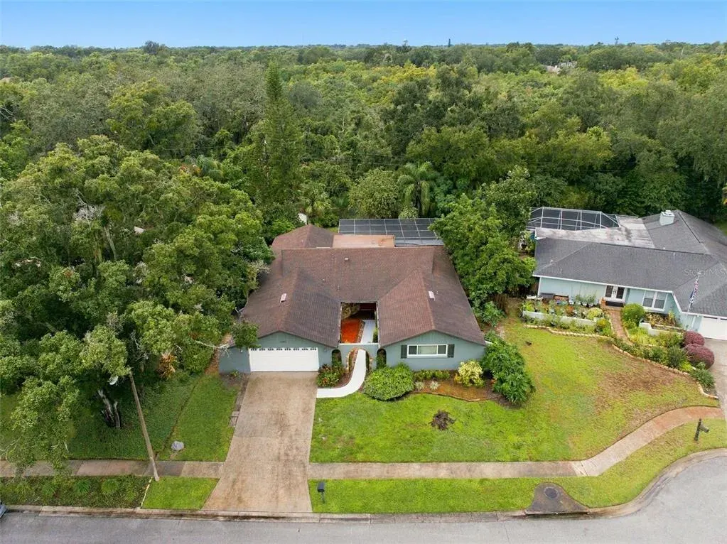 1297 Peach Tree Drive, Dunedin, FL, 34698