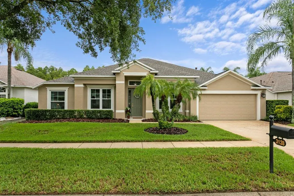 3128 Ashmonte Drive, Land O Lakes, FL, 34638