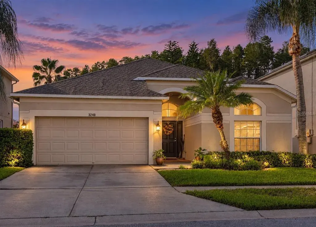 3240 Downan Point Drive, Land O Lakes, FL, 34638