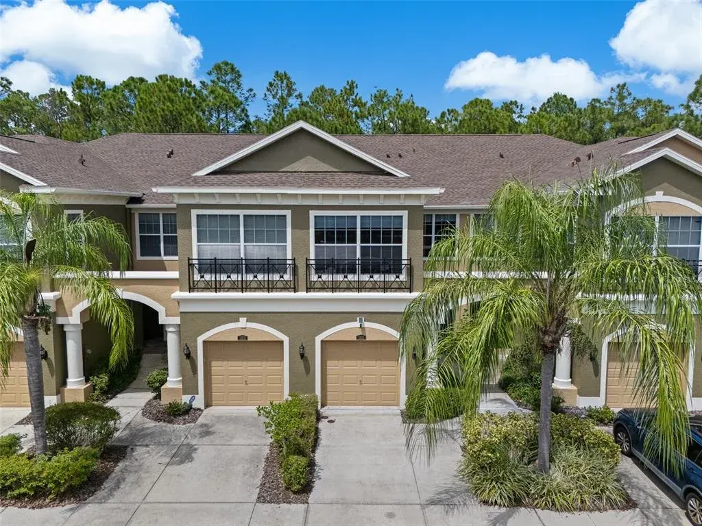 12612 Silverdale Street, Tampa, FL, 33626