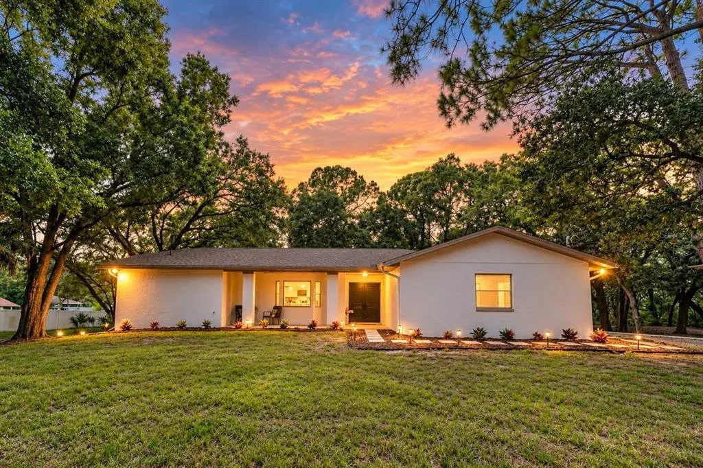 950 Waverly Street, Oldsmar, FL, 34677