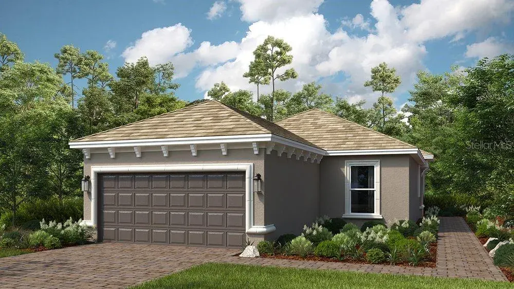 3907 Immacolata Way, Wesley Chapel, FL, 33543