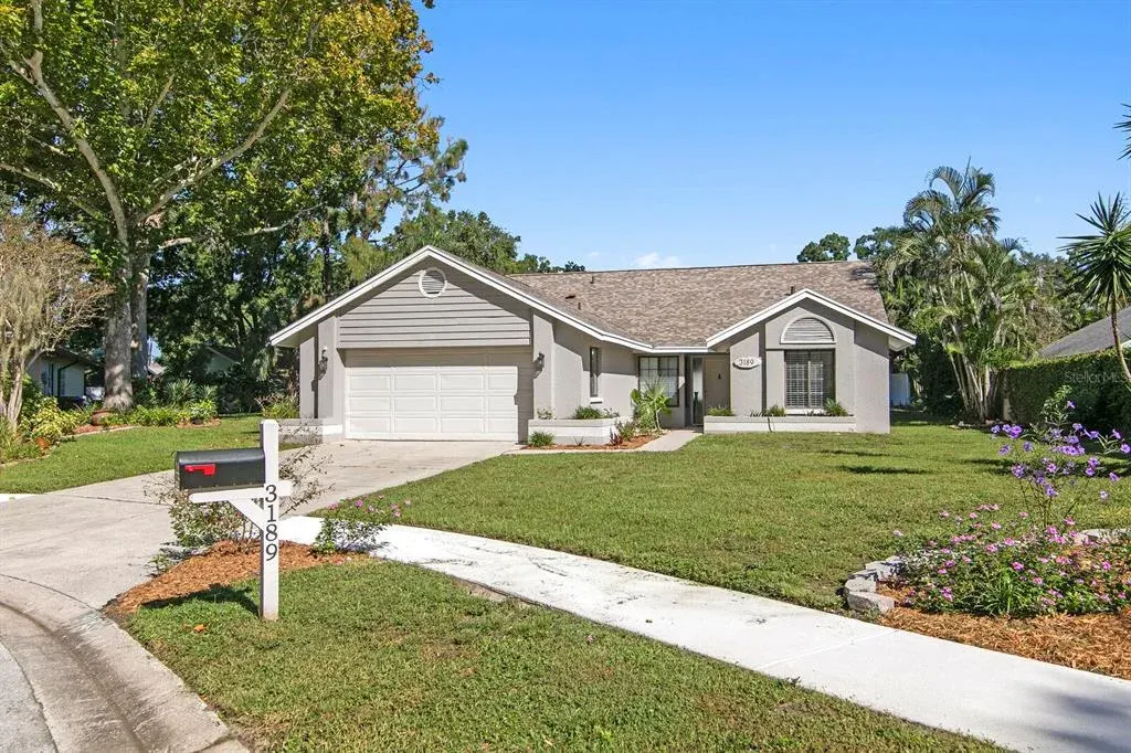 3189 Pine Forest Court, Palm Harbor, FL, 34684