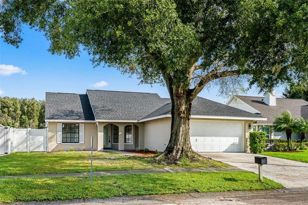 7131 Hollowell Drive, Tampa, FL, 33634