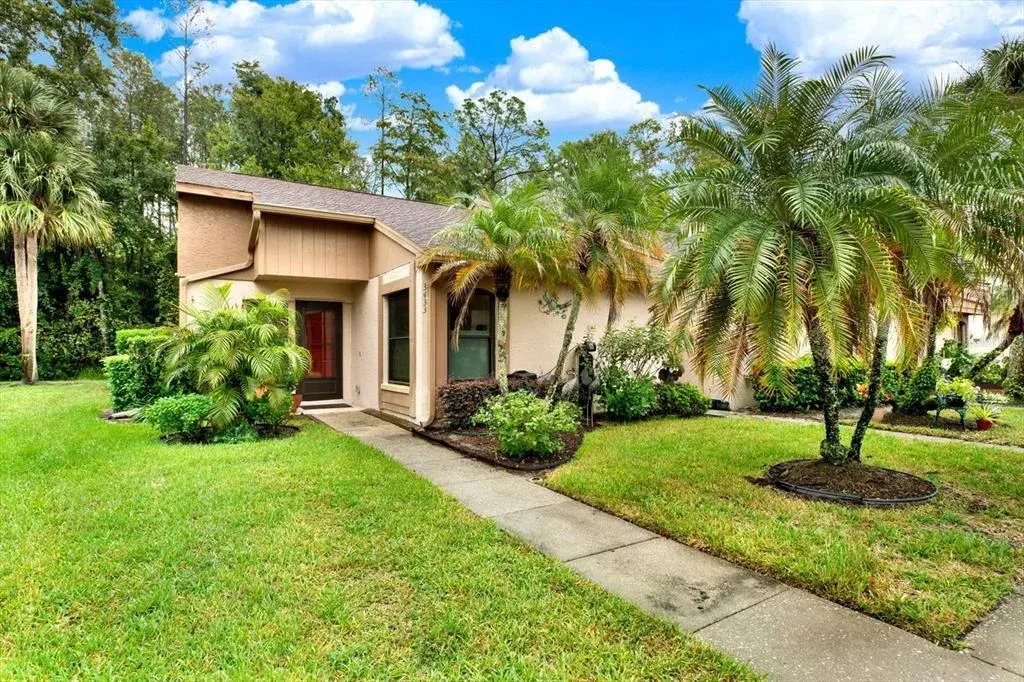 3433 Hillmoor Drive, Palm Harbor, FL, 34685