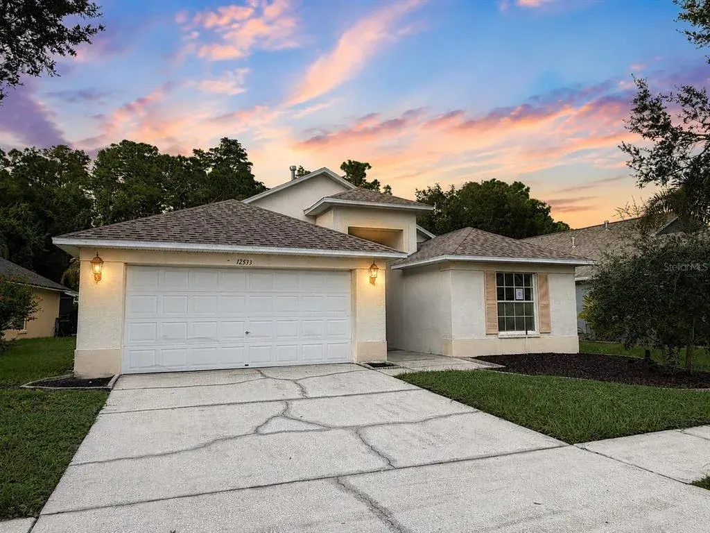 12533 Sparkleberry Road, Tampa, FL, 33626