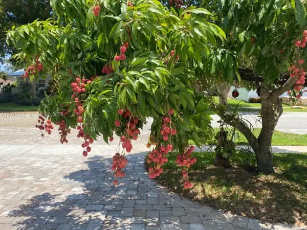 1251 SW 11th Terrace, Boca Raton, FL 33486