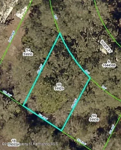 0 Tiger Street, Ridge Manor, FL, 33523