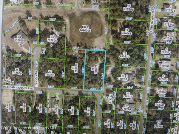 0 Mexican Canary Avenue, Brooksville, FL, 34614