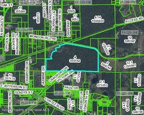 00 Mondon Hill Road, Brooksville, FL, 34601