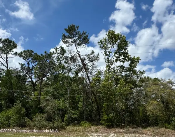 . Waterfall Drive, Spring Hill, FL, 34608