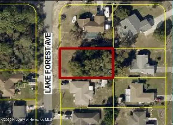 0 Lake Forest Avenue, Spring Hill, FL, 34609