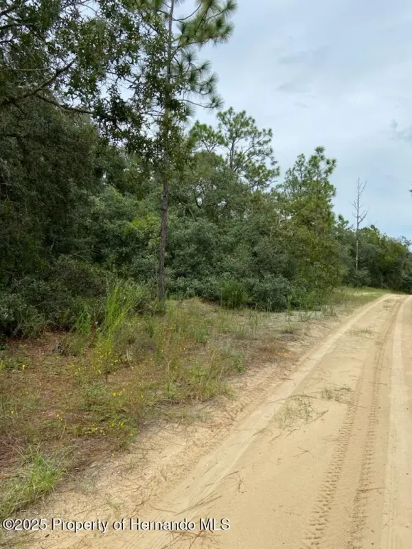 318 S Crestview Avenue, Inverness, FL, 34452