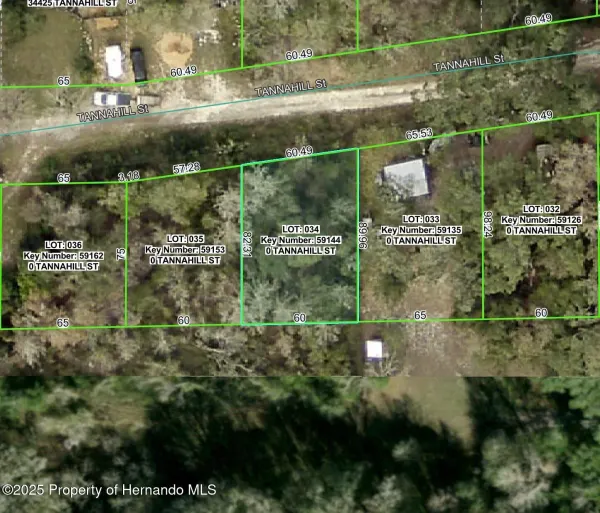 0 Tannahill Street, Dade City, FL, 33523