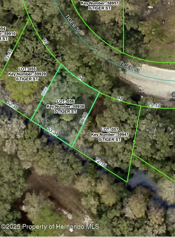 0 Tiger Street, Dade City, FL, 33523
