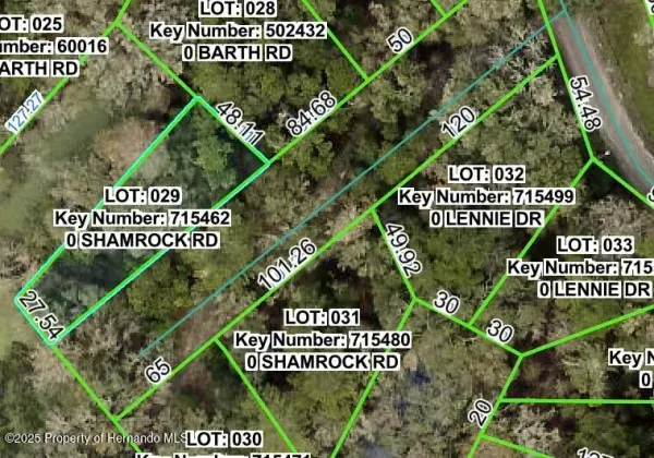 0 Shamrock, Dade City, FL, 33523