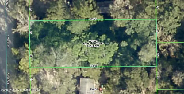 0 Young Street, Brooksville, FL, 34601