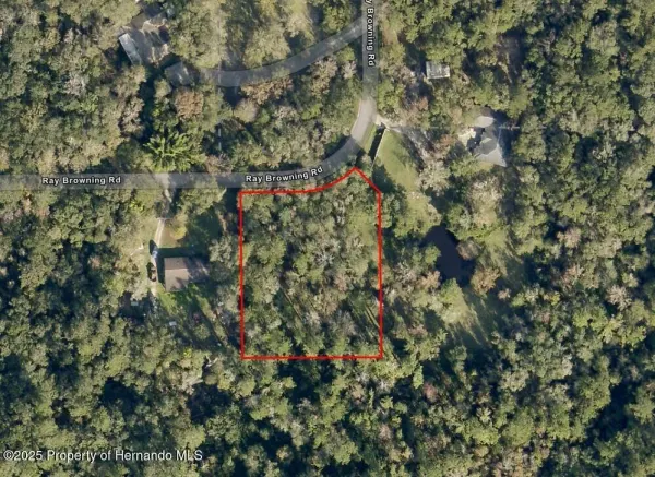 0 Ray Browning Road, Brooksville, FL, 34601
