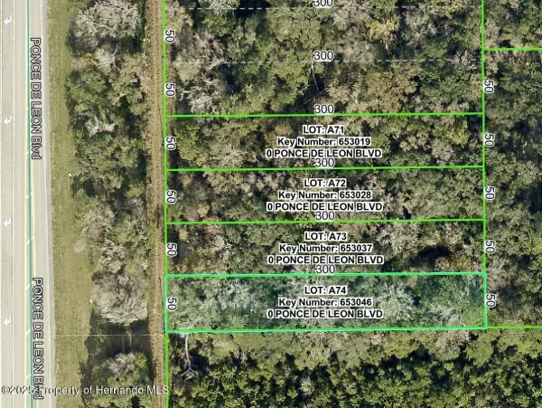 0 Ponce De Leon, Brooksville, FL, 34601