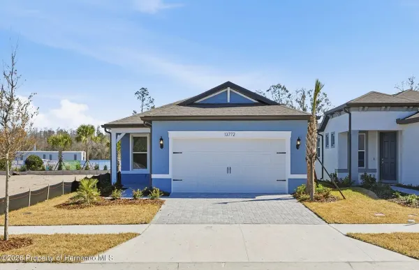 13772 Rocky Pine Place, Spring Hill(pasco), FL, 34610