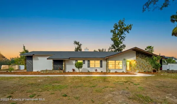 916 River Rapids Avenue, Brandon, FL, 33511