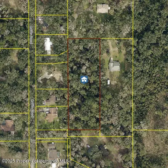 0 Griffin Road, Brooksville, FL, 34601
