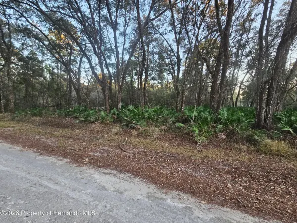 0 Rosehill Drive, Webster, FL, 33597