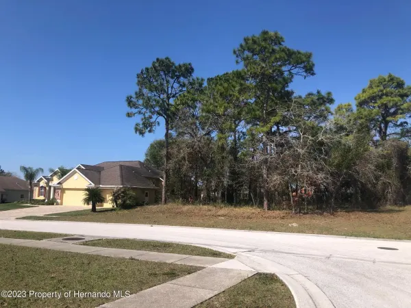 13363 Newcastle Avenue, Spring Hill, FL, 34609