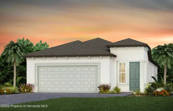 13780 Rocky Pine Place, Spring Hill(pasco), FL, 34610
