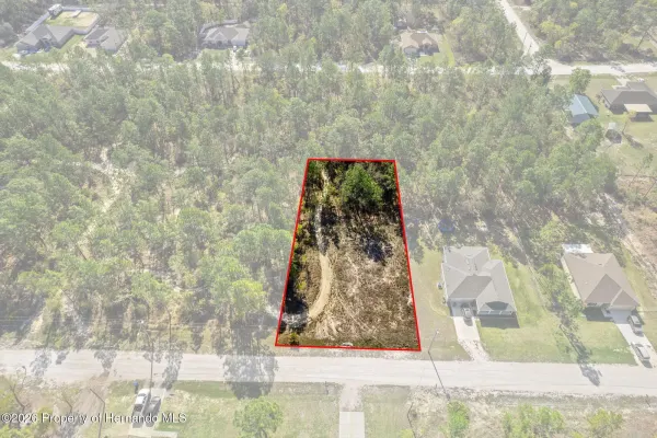 12348 Snowy Egret Avenue, Spring Hill, FL, 34606